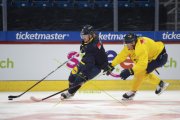 TRAINING SCHWEDEN