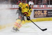 TIGERS - BERN