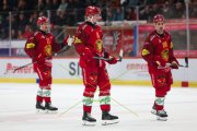 TIGERS - LAUSANNE