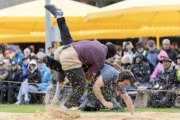 BASELSTAEDTISCHER SCHWINGERTAG