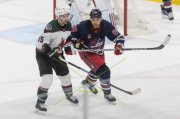 WINNIPEG - ARIZONA