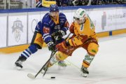 ZUG - TIGERS