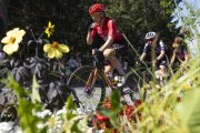 TOUR DE SUISSE WOMEN 2026