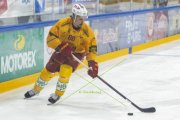 FRIBOURG - TIGERS