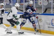 GCK LIONS - OLTEN