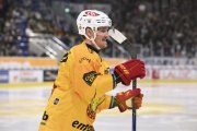 AMBRI - TIGERS