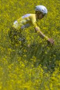 TOUR DE ROMANDIE 2026