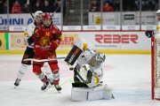 TIGERS - FRIBOURG