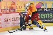 AMBRI - TIGERS