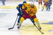 FRIBOURG - TIGERS
