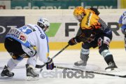 Eishockey NLA Playoff Final - SC Bern - HC Fribourg Gotteron