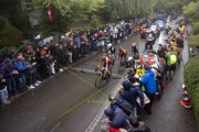 UCI ROAD WC 2024