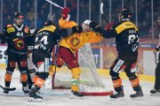 BERN - TIGERS