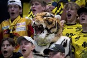 ZUG - TIGERS