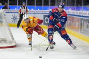 ZSC - Tigers