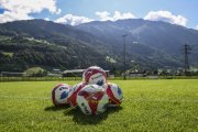 BASEL Training