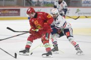 TIGERS - ZSC