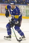 FRIBOURG - TIGERS