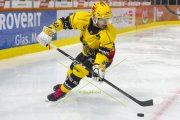 SCB - AJOIE