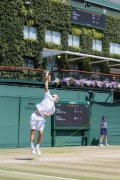 WIMBLEDON 2026