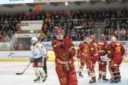 TIGERS - ZSC