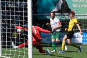 YB - KRIENS