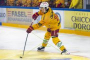 FRIBOURG - TIGERS