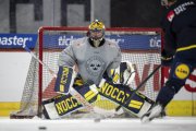 TRAINING SCHWEDEN
