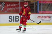 TIGERS - ZSC