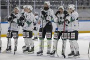 GCK LIONS - OLTEN