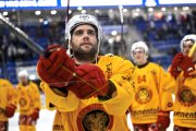 AMBRI - TIGERS