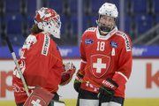 SCHWEIZ - SCHWEDEN