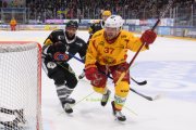 FRIBOURG - TIGERS