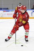 AMBRI - TIGERS
