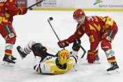 TIGERS - LAUSANNE