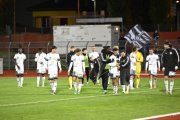 BELLINZONA - WIL