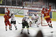 TIGERS - LAUSANNE