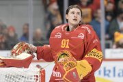 TIGERS - FRIBOURG