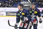 AMBRI - TIGERS