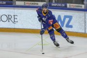 ZUG - TIGERS