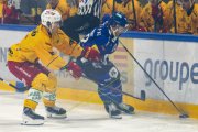 FRIBOURG - TIGERS