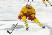 FRIBOURG - TIGERS