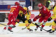 TIGERS - BERN