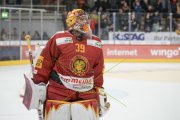 TIGERS - DAVOS