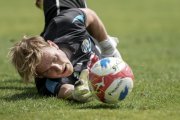 LUZERN TRAINING