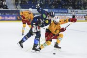 AMBRI - TIGERS