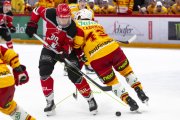 LAUSANNE - TIGERS