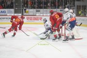 TIGERS - ZSC