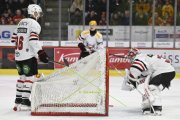 TIGERS - LAUSANNE