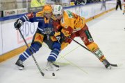 ZUG - TIGERS